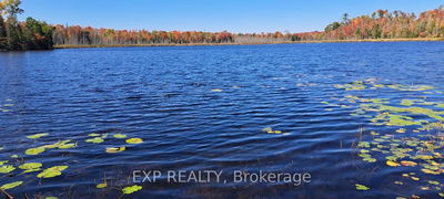 146 Thanet Lake Rd, Hastings - Wollaston