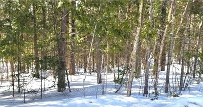 159 Maple Rd, Bonfield - Bonfield