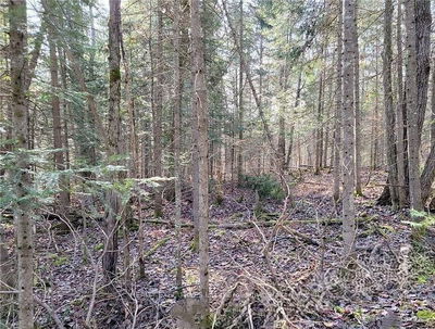 159 Maple Rd, Bonfield - Bonfield image-0-1