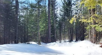 159 Maple Rd, Bonfield - Bonfield image-0-2
