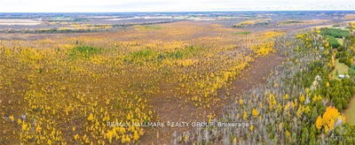 Lot 1&2 PT LT 17 CON4  LT 16 CON5 Rd, Merrickville-Wolford - Merrickville/Wolford Twp image-0-3