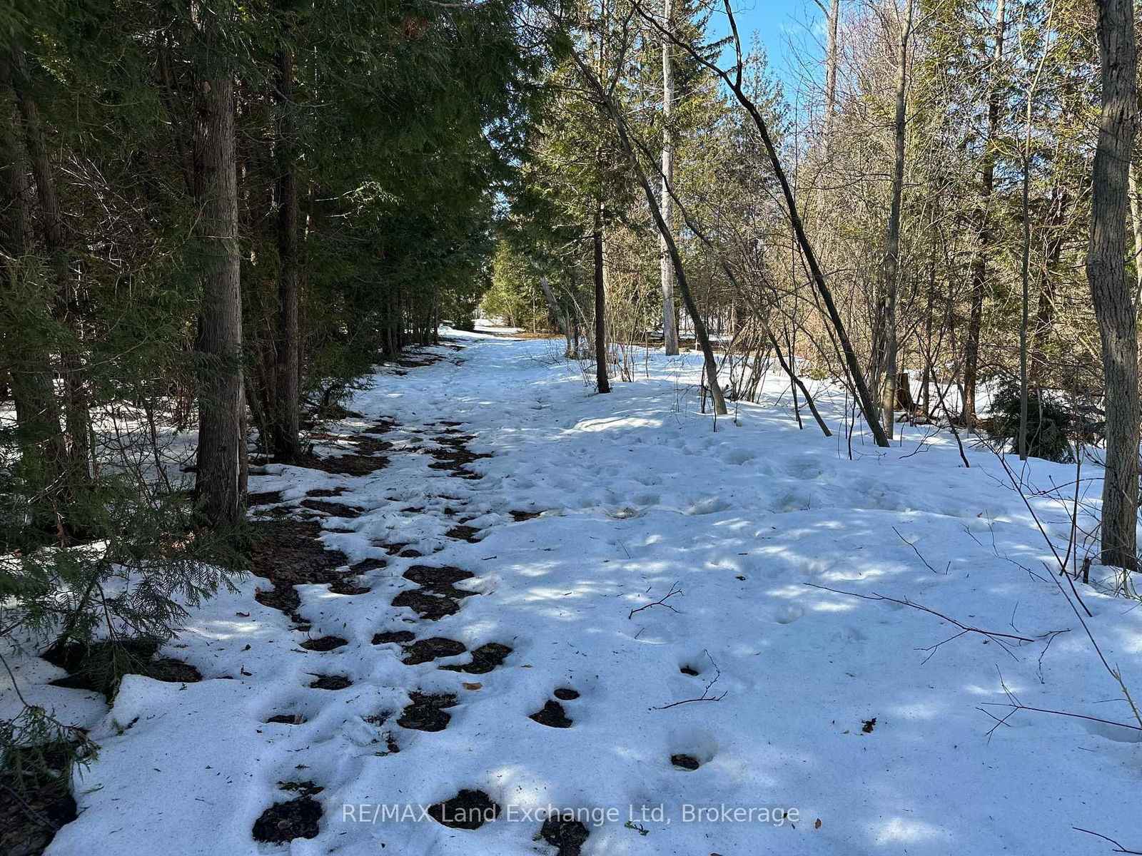 Vacant Land sold at 81750 Lake Avenue, Ashfield-Colborne-Wawanosh, Colborne, N7A 3Y2 - MLS: X12015237