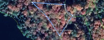 Lt 161 Thanet Lake, Coe Hill - 