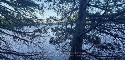 Lt 161 Thanet Lake, Coe Hill -  image-0-1