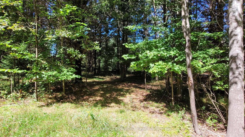 1059 Ablett Crt, Algonquin Highlands, K0M 1J0 | Image 2