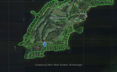 66 BIGWIN ISLAND, Lake of Bays - Franklin image-0-4