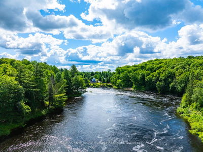 16C MAGNET Rd, Magnetawan - Ahmic Harbour image-0-4