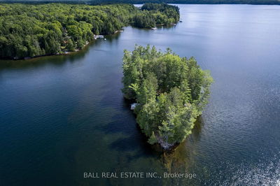 25 Garden Island, North Kawartha - Rural North Kawartha image-0-1