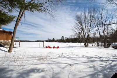9 Fire Route 42A, North Kawartha - North Kawartha image-0-4