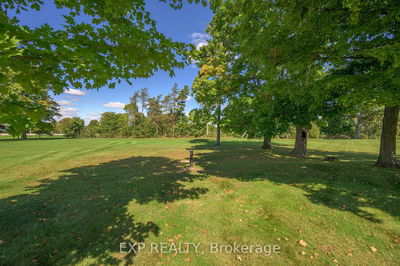 54196 EDEN Line, Bayham - Rural Bayham image-0-4