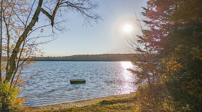 128 Cheer Lake Rd, Strong - Strong image-0-2
