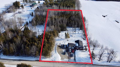 793667 East Back Line, Grey Highlands - Grey Highlands image-0-3