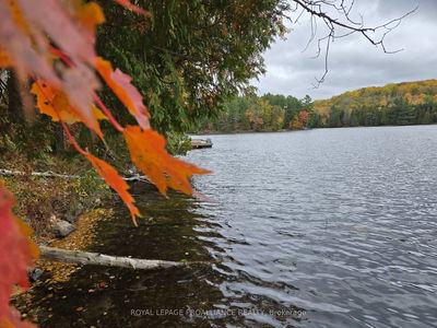1419 Turtle Lake Lane, Plevna - Frontenac North image-0-1
