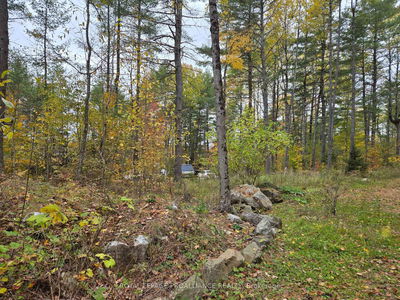 1419 Turtle Lake Lane, Plevna - Frontenac North image-0-4