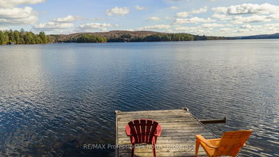 1320 Port Cunnington Rd, Lake of Bays - Franklin image-0-1