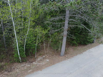 PL177 Murray Park St, Barry's Bay - North Algona/Wilberforce Twp image-0-1