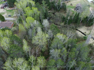 PL177 Murray Park St, Barry's Bay - North Algona/Wilberforce Twp image-0-2
