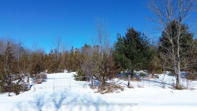 00 McCutcheon Rd, Stone Mills - Stone Mills