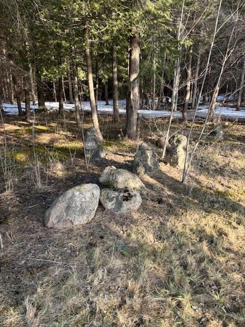 1 southgate srd 57 Rd N, Southgate, N0G 2L0 | Image 3