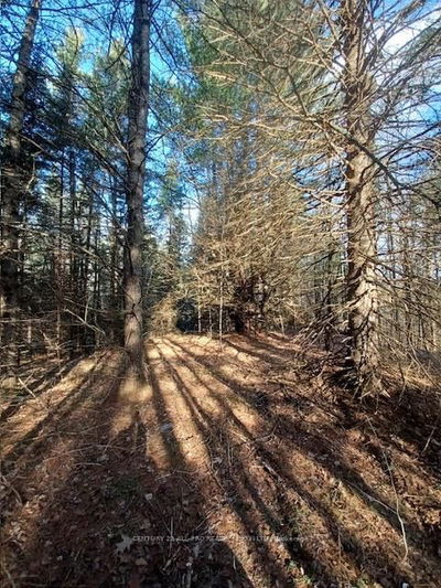 177 Dick Martin Rd, North Kawartha - North Kawartha