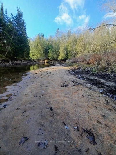 177 Dick Martin Rd, North Kawartha - North Kawartha image-0-2