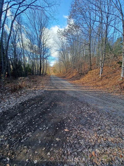 177 Dick Martin Rd, North Kawartha - North Kawartha image-0-3