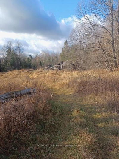 177 Dick Martin Rd, North Kawartha - North Kawartha image-0-4