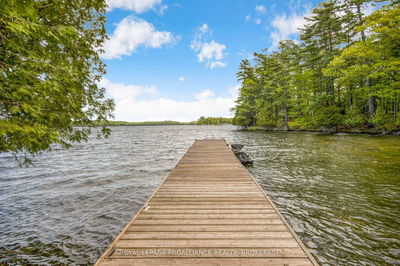 B-459 Deadlock Bay Rd, Rideau Lakes - Rideau Lakes (South Crosby) Twp image-0-3