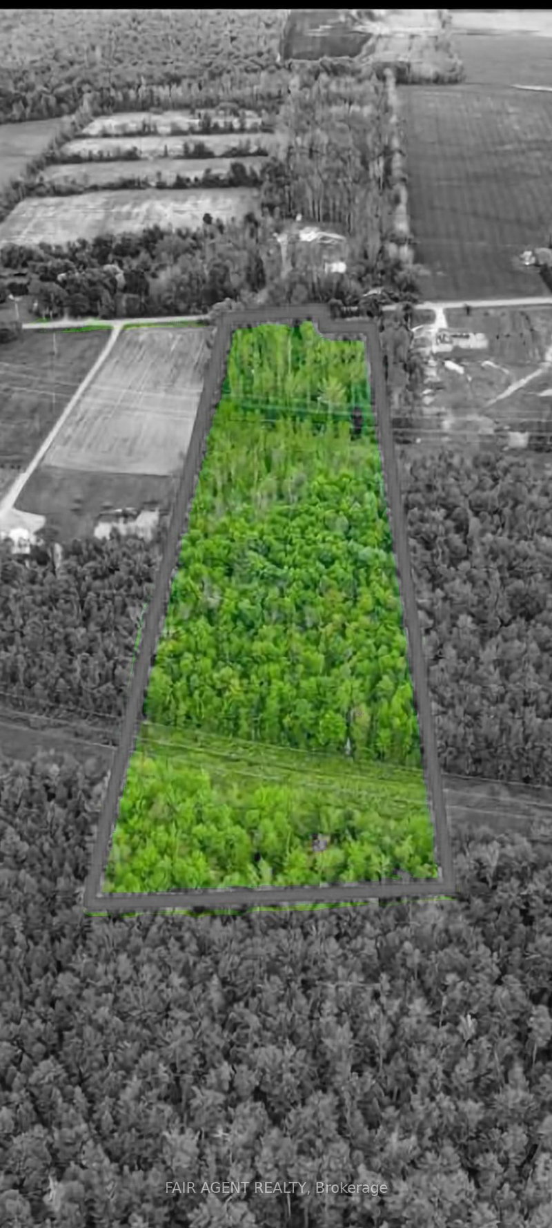 PT LT16 North Lunenburg Rd W, South Stormont, K0C 1R0 | Image 2