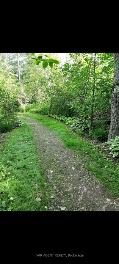 PT LT16 North Lunenburg Rd, South Stormont - South Stormont (Osnabruck) Twp image-0-2