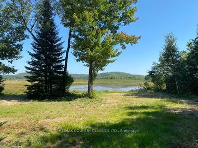 Lot 9 Lower Craigmont Rd, Barry's Bay - Brudenell/Lyndoch/Raglan image-0-2