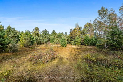 00 Highway 41, Kaladar - Addington Highlands