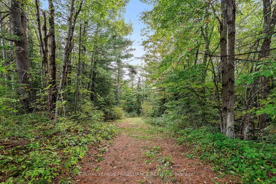 00 Highway 41, Kaladar - Addington Highlands image-0-2