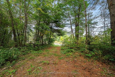 00 Highway 41, Kaladar - Addington Highlands image-0-3