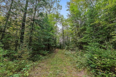 00 Highway 41, Kaladar - Addington Highlands image-0-4