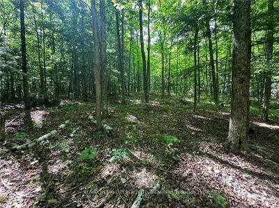 672 CALABOGIE Rd, Renfrew - Mcnab/Braeside Twps