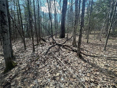 672 CALABOGIE Rd, Renfrew - Mcnab/Braeside Twps image-0-1