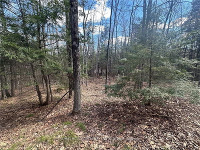 672 CALABOGIE Rd, Renfrew - Mcnab/Braeside Twps image-0-3