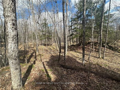 672 CALABOGIE Rd, Renfrew - Mcnab/Braeside Twps image-0-4