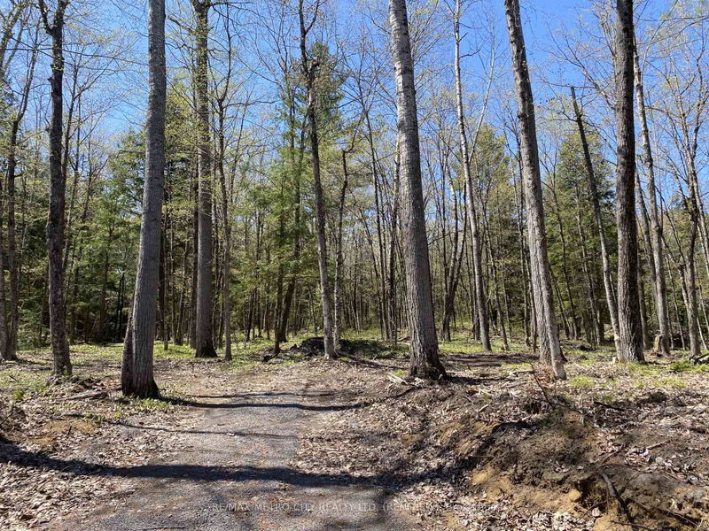 00 CALABOGIE Rd, Arnprior - Mcnab/Braeside Twps image-0-0