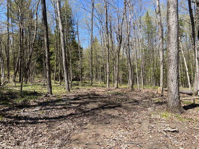 00 CALABOGIE Rd, Arnprior - Mcnab/Braeside Twps image-0-3