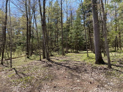 00 CALABOGIE Rd, Arnprior - Mcnab/Braeside Twps image-0-4
