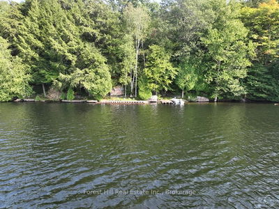 30945 KAWAGAMA Lake WAO, Algonquin Highlands - Sherborne image-0-2