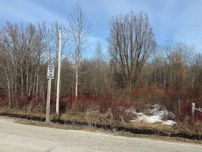  3rd Line, Melancthon - Rural Melancthon