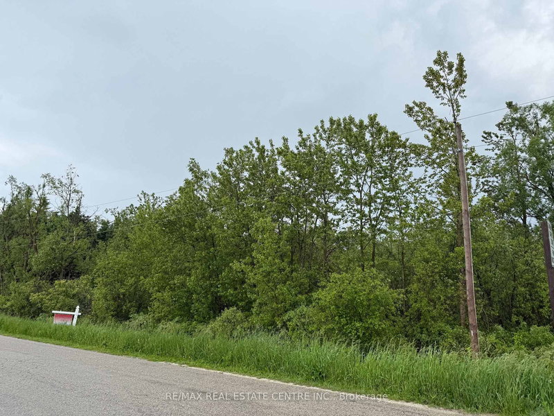 0 3rd Line, Melancthon, L9V 1T3 | Image 3