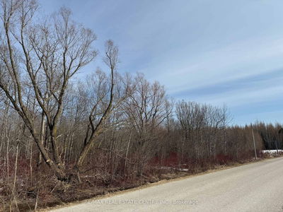  3rd Line, Melancthon - Rural Melancthon image-0-3