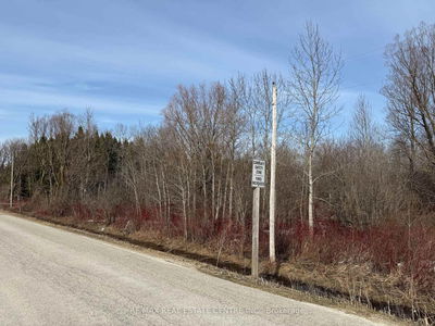  3rd Line, Melancthon - Rural Melancthon image-0-4
