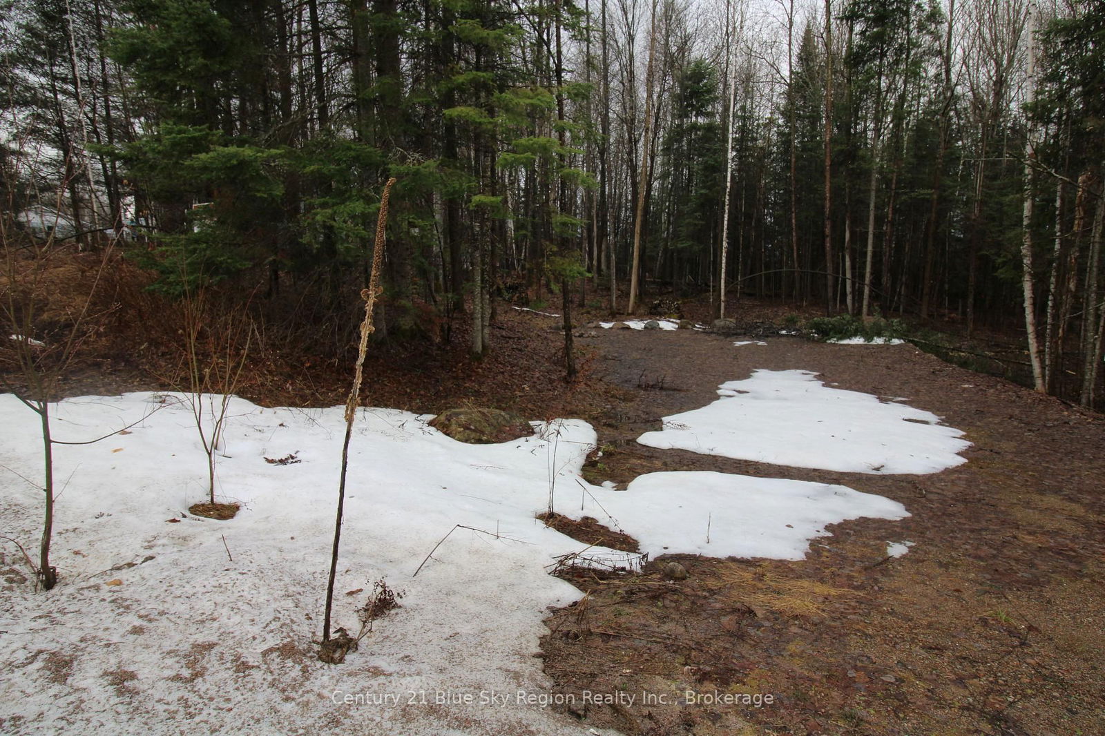 Vacant Land sold at LOT 40 GREENWOOD Drive, Bonfield, Bonfield, P0H 1E0 - MLS: X12027890
