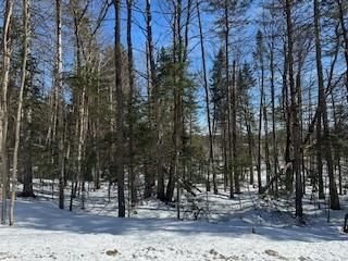 Unit 9 — Part 8 of Part of Lot 18 Concession, Lake of Bays - Mclean