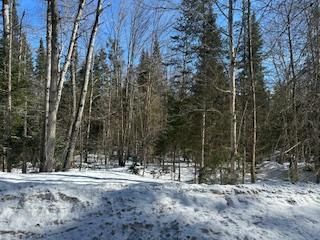 Unit 9 — Part 7 of Part of Lot 18 Concession, Lake of Bays - Mclean